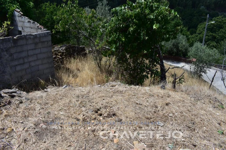 Terreno para Venda em Campelo Foto 8