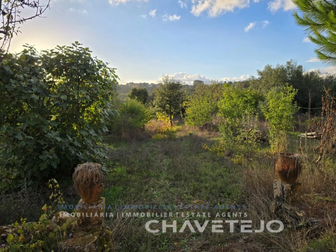 Quinta T3 para Venda em Casais e Alviobeira Foto 37