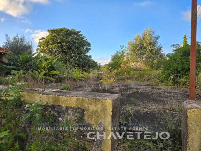 Quinta T3 para Venda em Casais e Alviobeira Foto 36