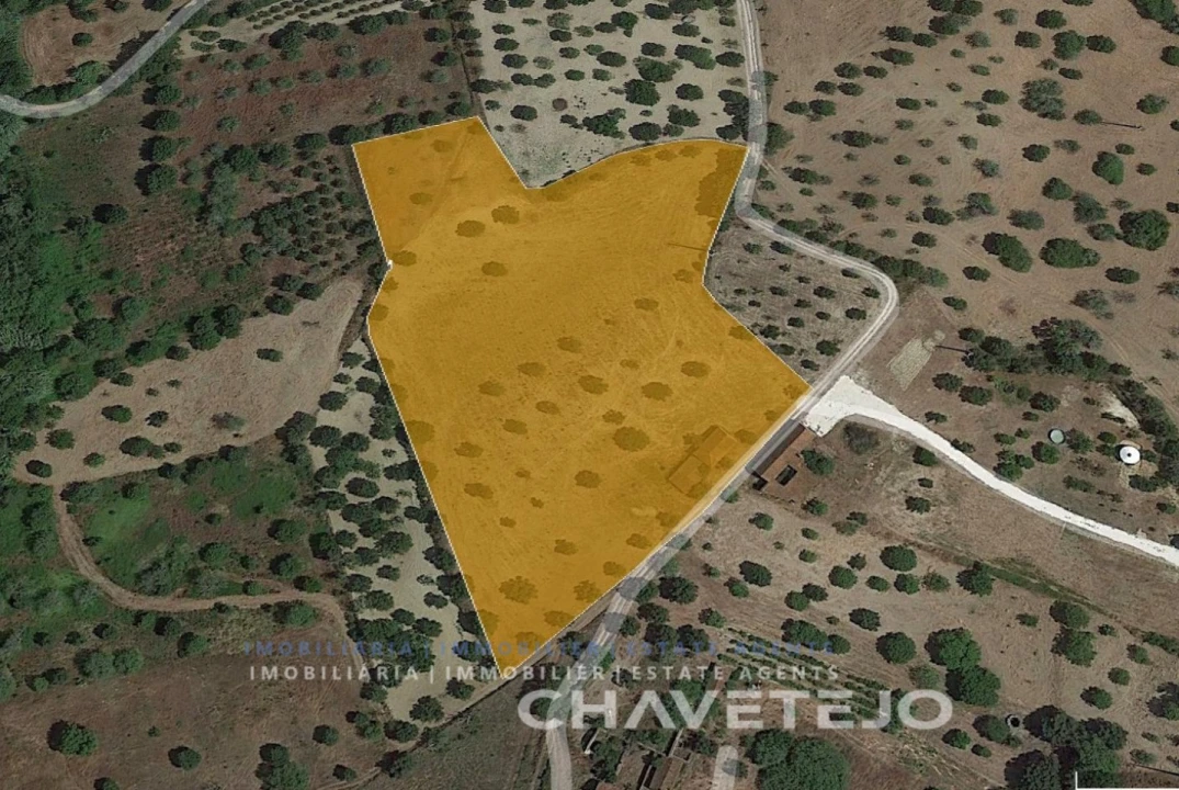 Quinta T2 para Venda em Torres Novas (Santa Maria, Salvador e Santiago) Foto 25