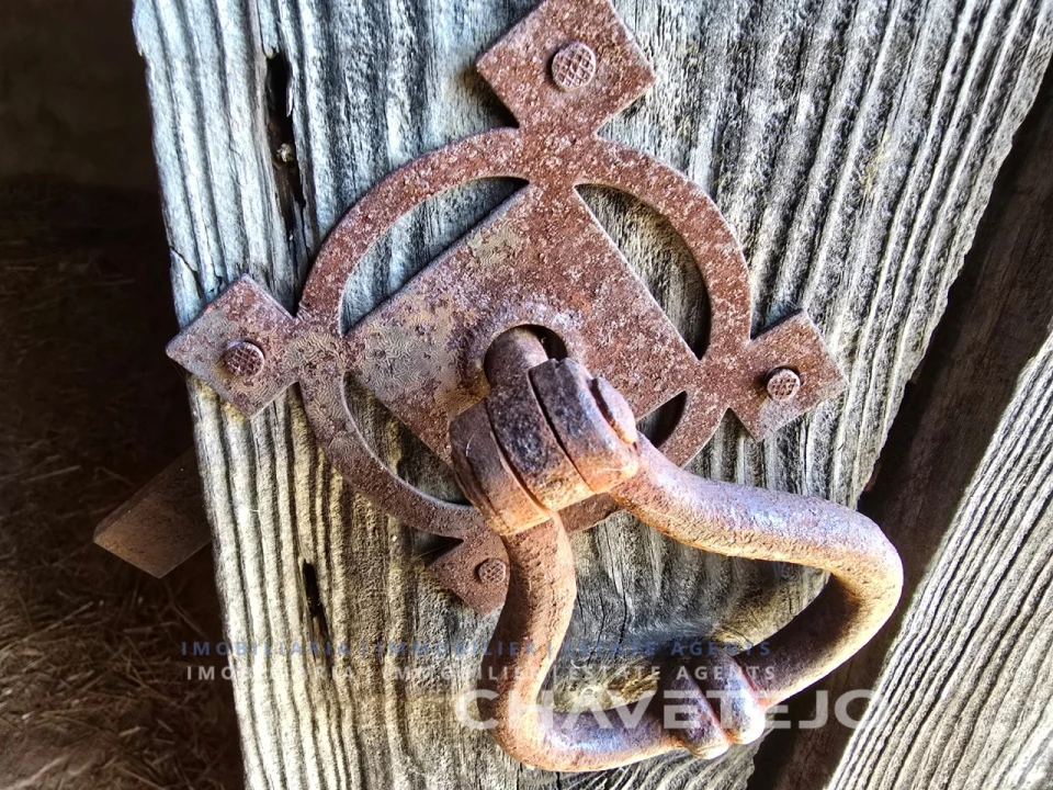 Quinta T2 para Venda em Torres Novas (Santa Maria, Salvador e Santiago) Foto 24