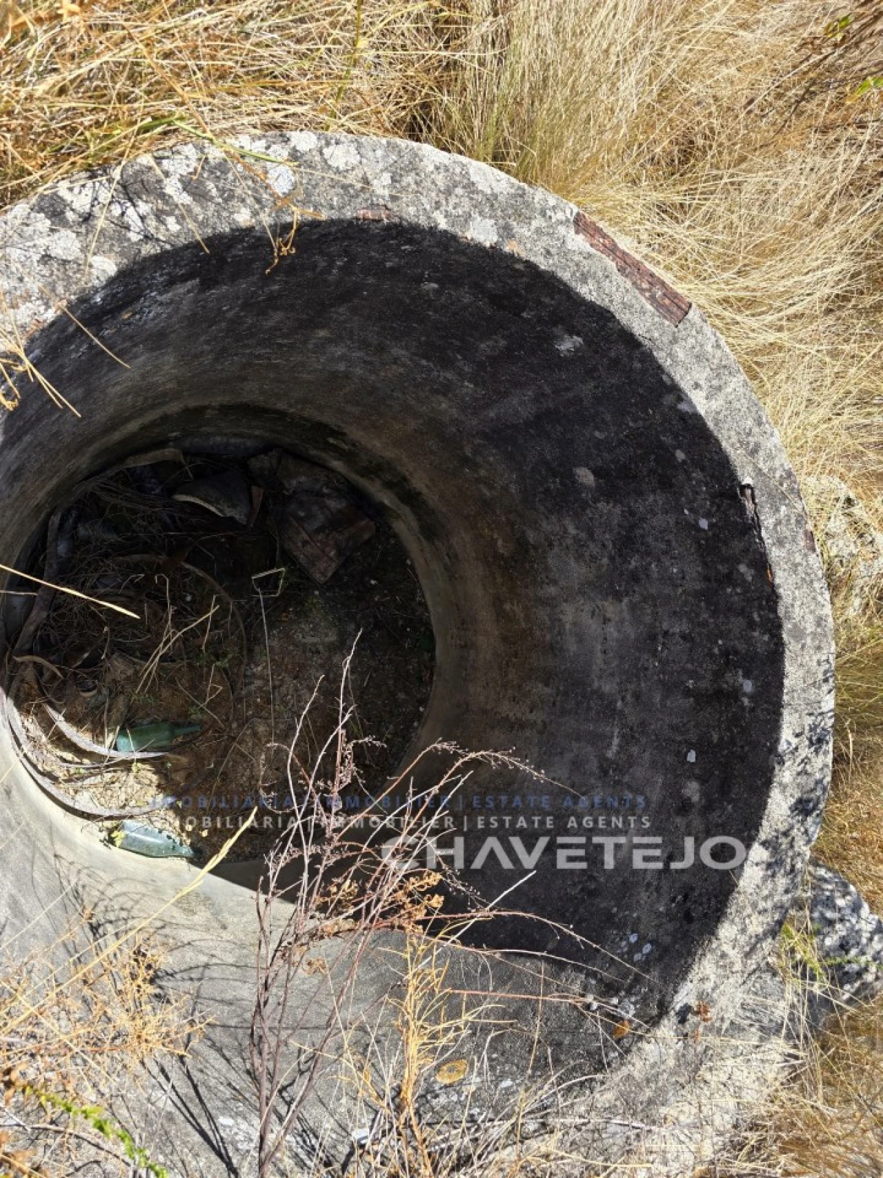 Quinta T2 para Venda em Torres Novas (Santa Maria, Salvador e Santiago) Foto 14