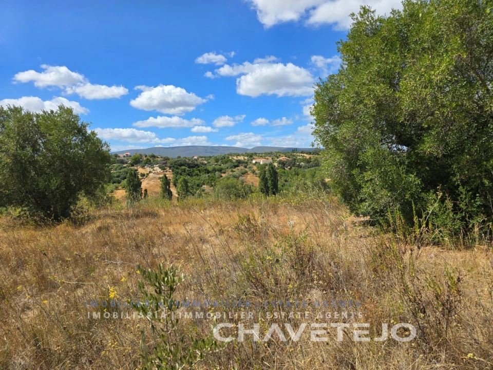 Quinta T2 para Venda em Torres Novas (Santa Maria, Salvador e Santiago) Foto 17