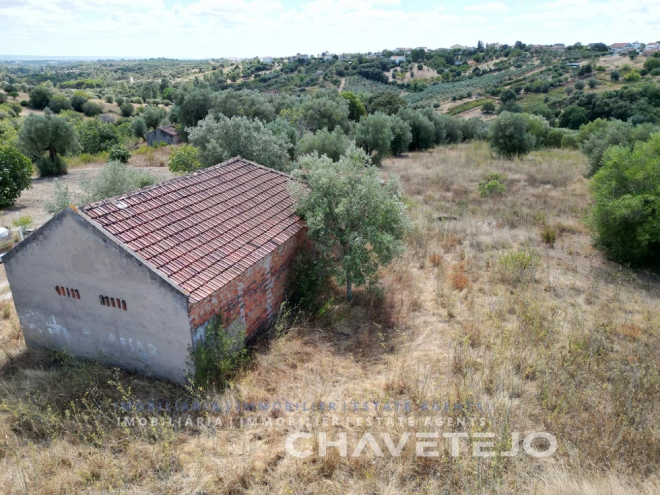 Quinta T2 para Venda em Torres Novas (Santa Maria, Salvador e Santiago) Foto 21