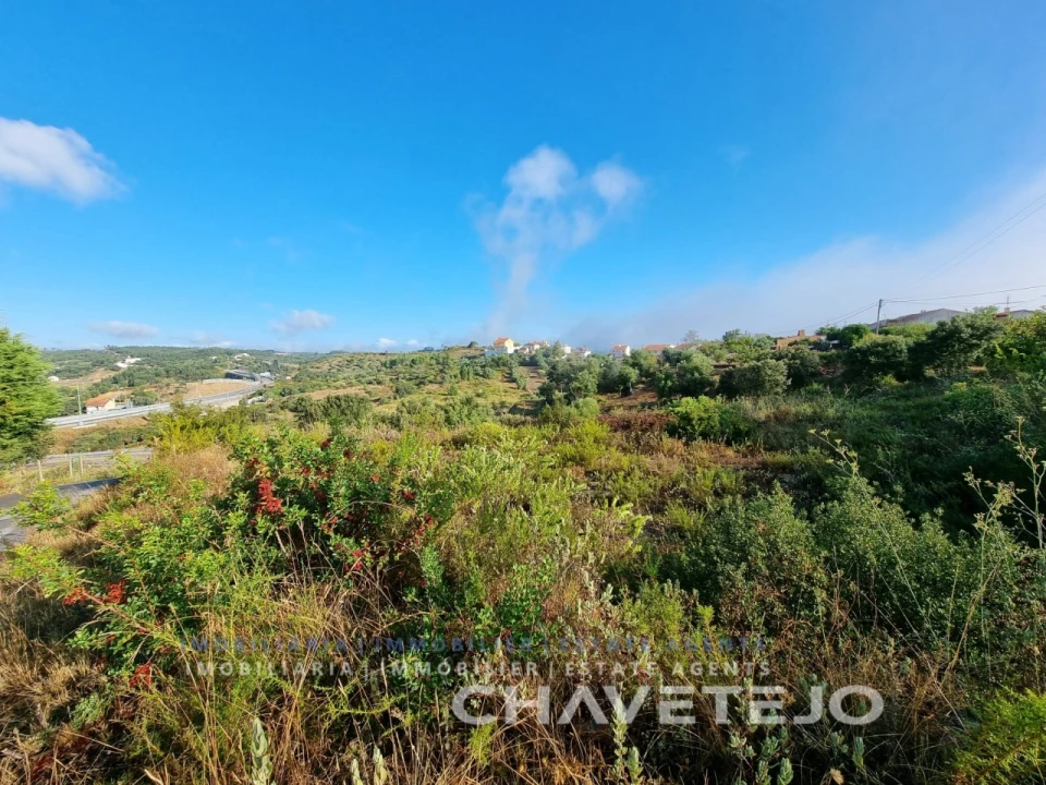 Terreno para Venda em Carregueiros Foto 1