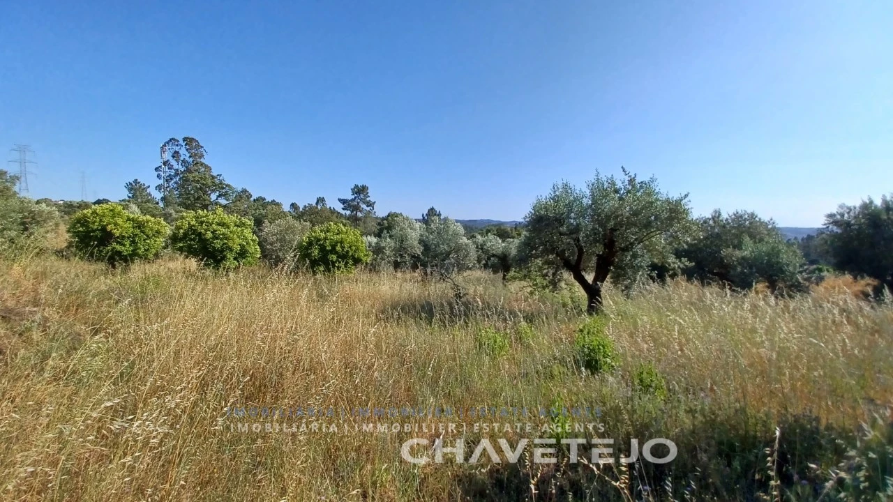 Terreno para Venda em São Pedro de Tomar Foto 1