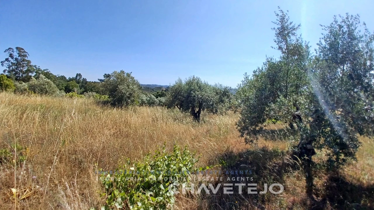 Terreno para Venda em São Pedro de Tomar Foto 3