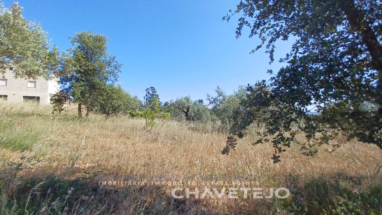 Terreno para Venda em São Pedro de Tomar Foto 7