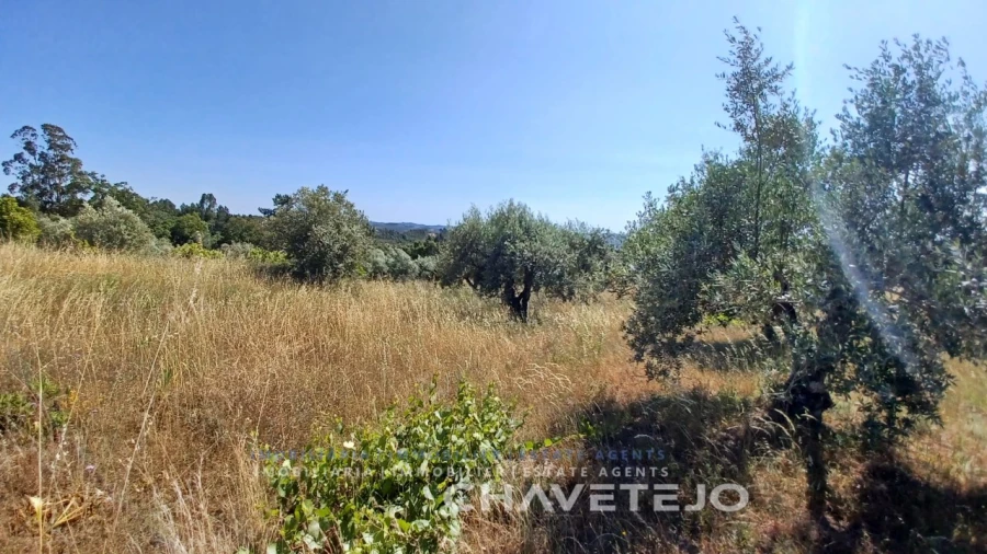 Terreno para Venda em São Pedro de Tomar Foto 3