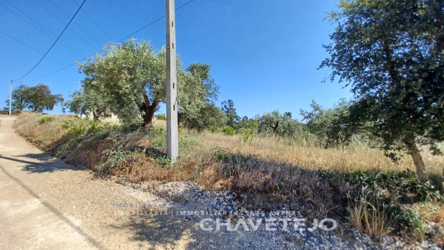 Terreno para Venda em São Pedro de Tomar Foto 4