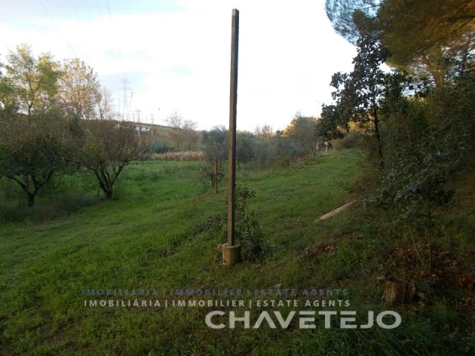 Terreno para Venda em São João Baptista e Santa Maria dos Olivais Foto 5