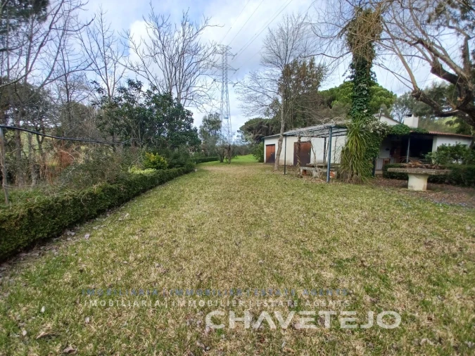 Terreno para Venda em São João Baptista e Santa Maria dos Olivais Foto 11