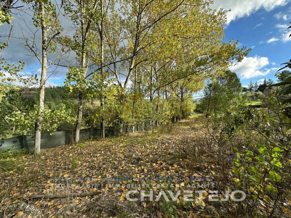 Moradia T2 para Venda em São Pedro de Tomar Foto 9