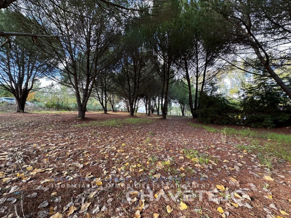Moradia T2 para Venda em São Pedro de Tomar Foto 12
