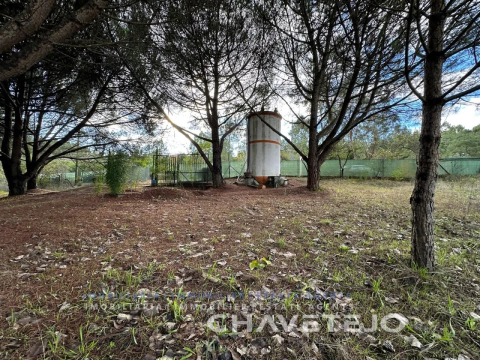 Moradia T2 para Venda em São Pedro de Tomar Foto 29