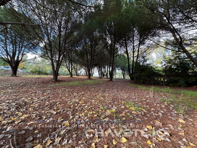 Moradia T2 para Venda em São Pedro de Tomar Foto 12
