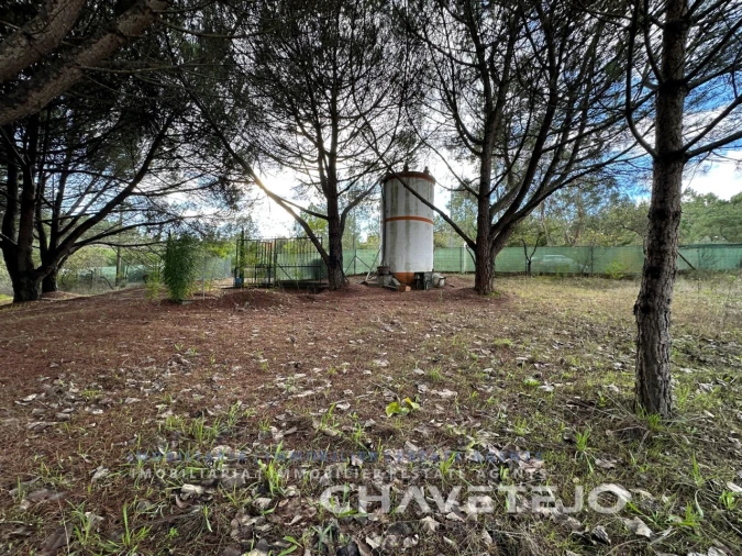 Moradia T2 para Venda em São Pedro de Tomar Foto 29