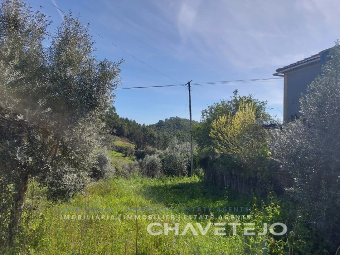 Moradia T4 para Venda em Serra e Junceira Foto 11