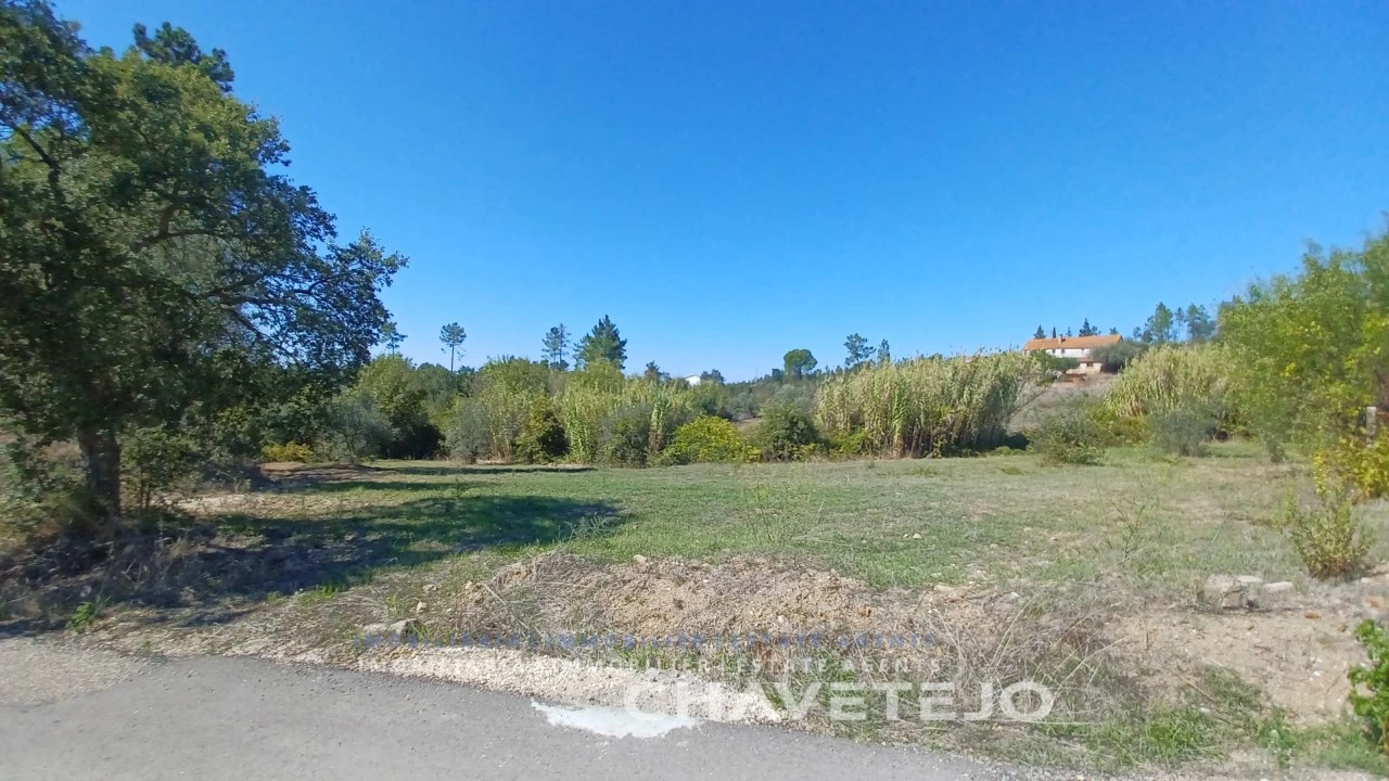 Terreno para Venda em São Pedro de Tomar Foto 3