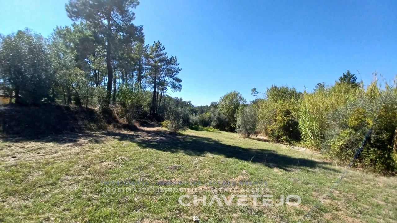 Terreno para Venda em São Pedro de Tomar Foto 5
