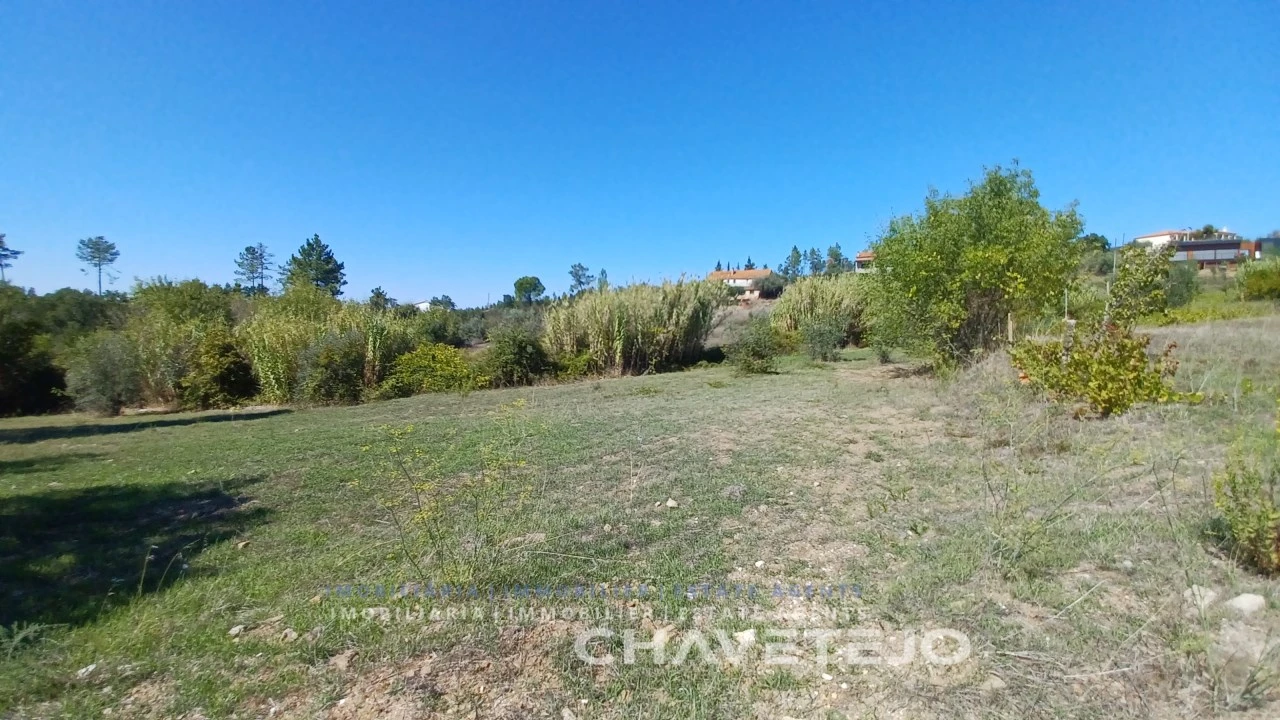 Terreno para Venda em São Pedro de Tomar Foto 7