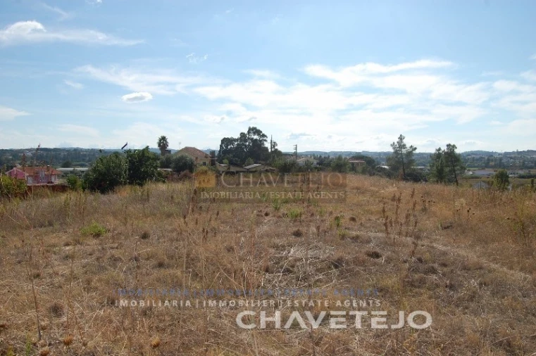 Terreno para Venda em São Pedro de Tomar Foto 2