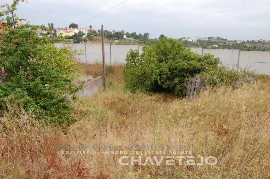 Terreno para Venda em São João Baptista e Santa Maria dos Olivais Foto 3