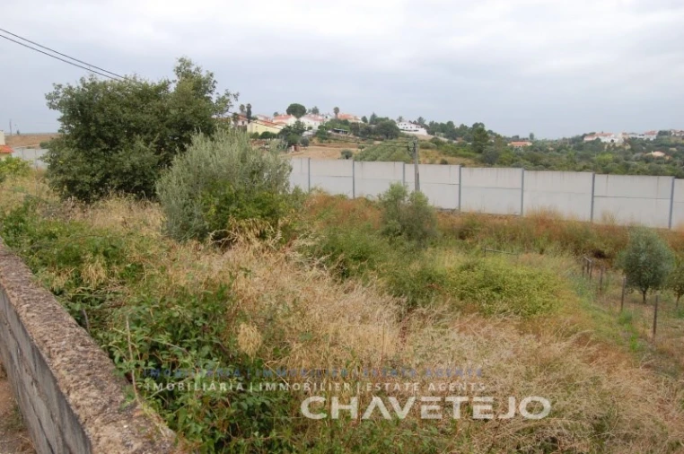 Terreno para Venda em São João Baptista e Santa Maria dos Olivais Foto 4