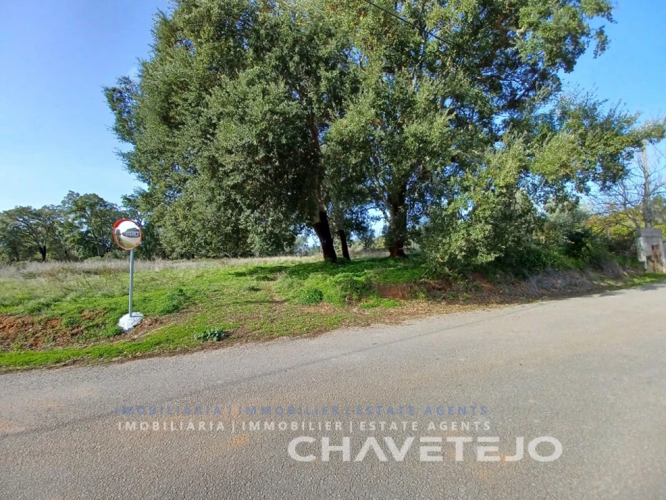 Terreno Agricola ou Rústico para Venda em Casais e Alviobeira Foto 2