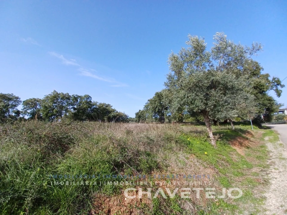 Terreno Agricola ou Rústico para Venda em Casais e Alviobeira Foto 4