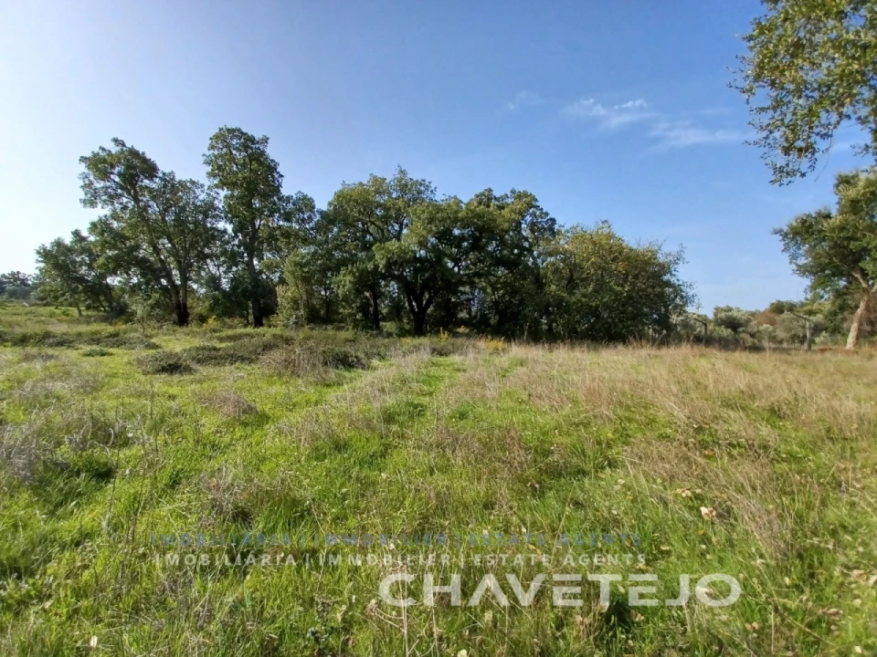 Terreno Agricola ou Rústico para Venda em Casais e Alviobeira Foto 5