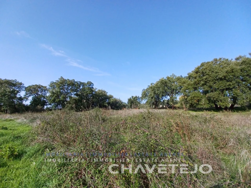 Terreno Agricola ou Rústico para Venda em Casais e Alviobeira Foto 6
