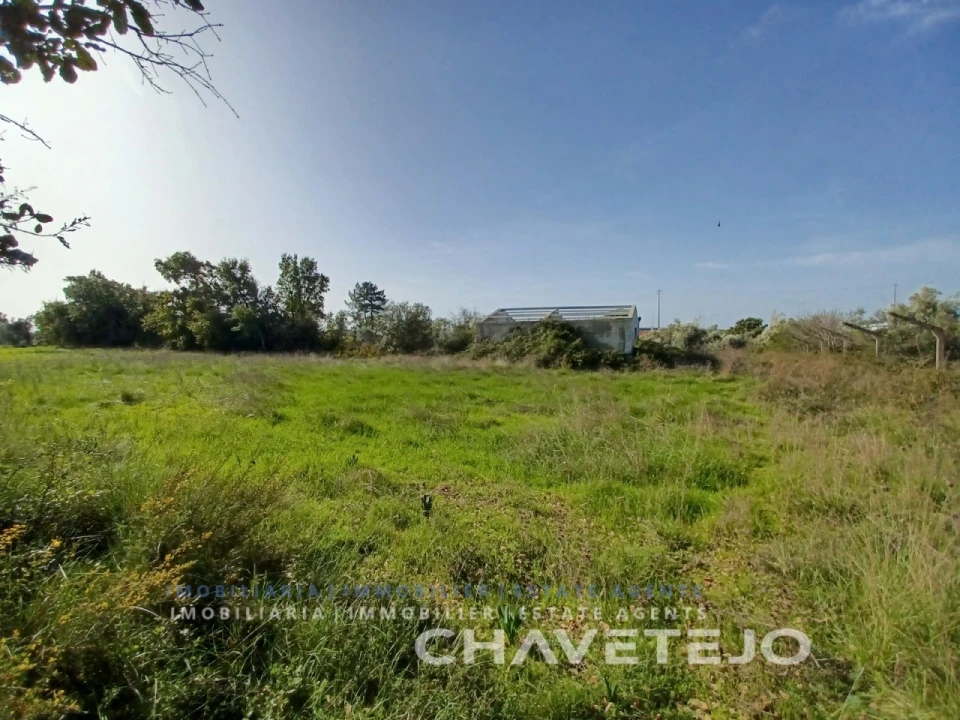 Terreno Agricola ou Rústico para Venda em Casais e Alviobeira Foto 8