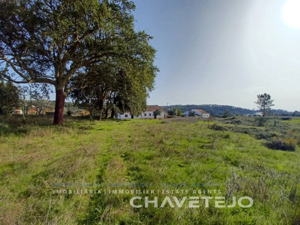Terreno Agricola ou Rústico para Venda em Casais e Alviobeira Foto 9