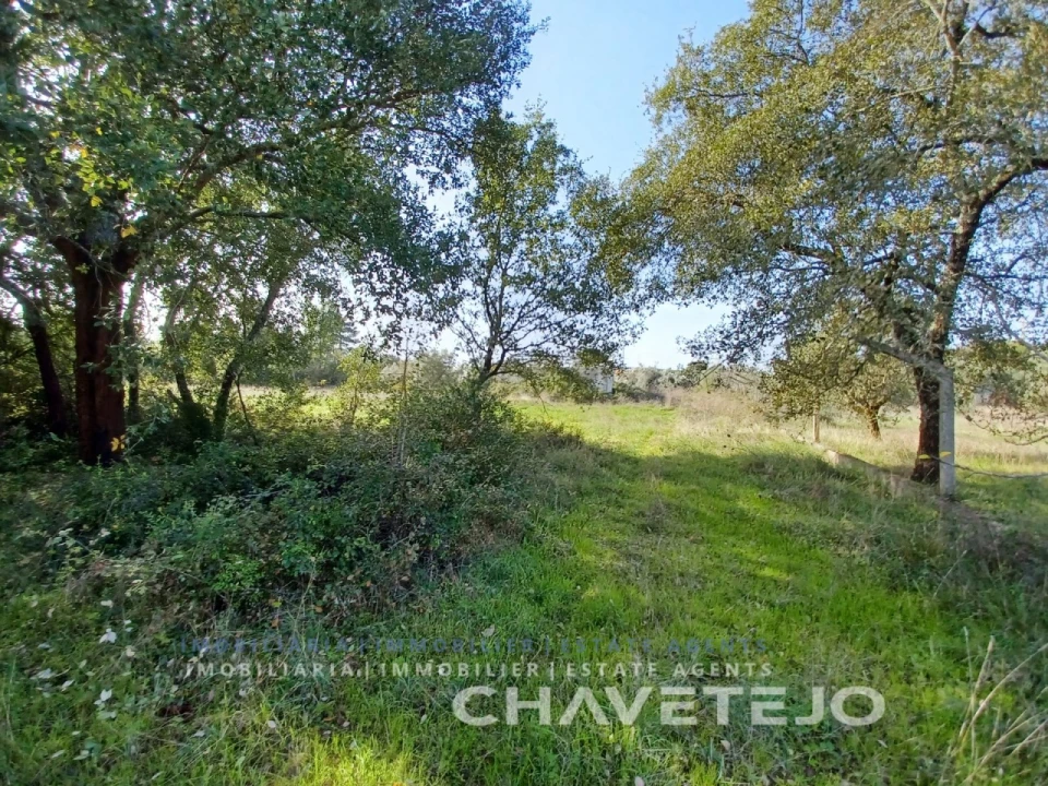 Terreno Agricola ou Rústico para Venda em Casais e Alviobeira Foto 10