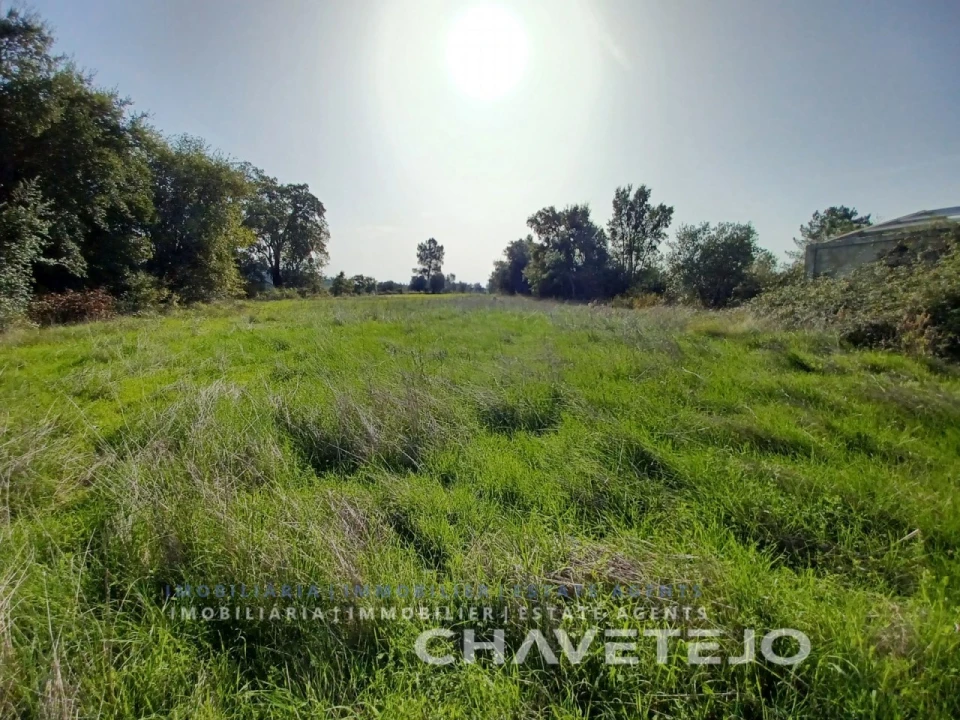 Terreno Agricola ou Rústico para Venda em Casais e Alviobeira Foto 12