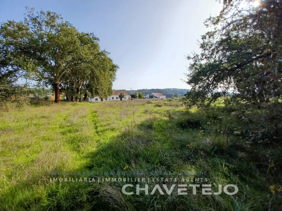 Terreno Agricola ou Rústico para Venda em Casais e Alviobeira Foto 13