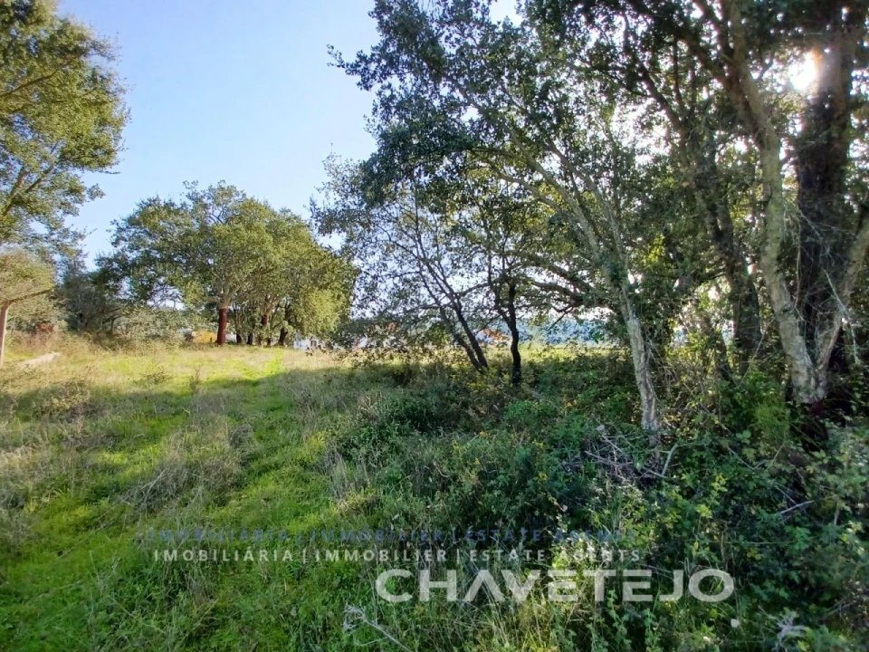 Terreno Agricola ou Rústico para Venda em Casais e Alviobeira Foto 14