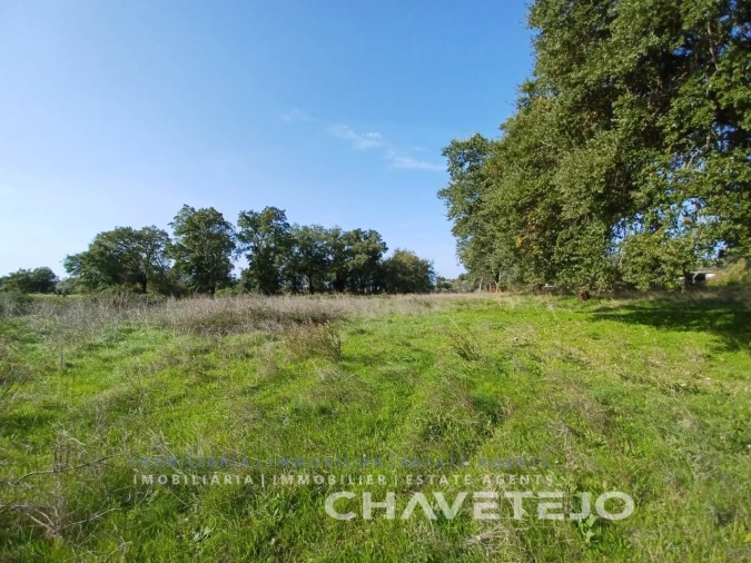 Terreno Agricola ou Rústico para Venda em Casais e Alviobeira Foto 7