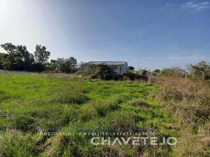 Terreno Agricola ou Rústico para Venda em Casais e Alviobeira Foto 11