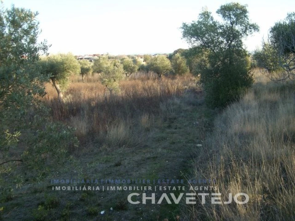 Terreno para Venda em Olaia e Paço Foto 4