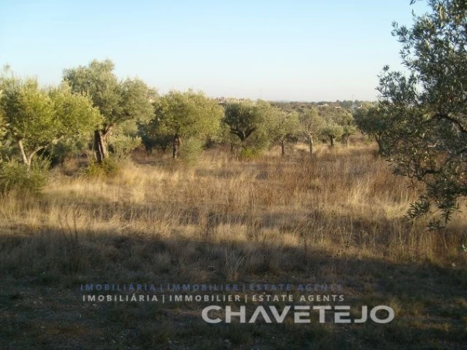 Terreno para Venda em Olaia e Paço Foto 3