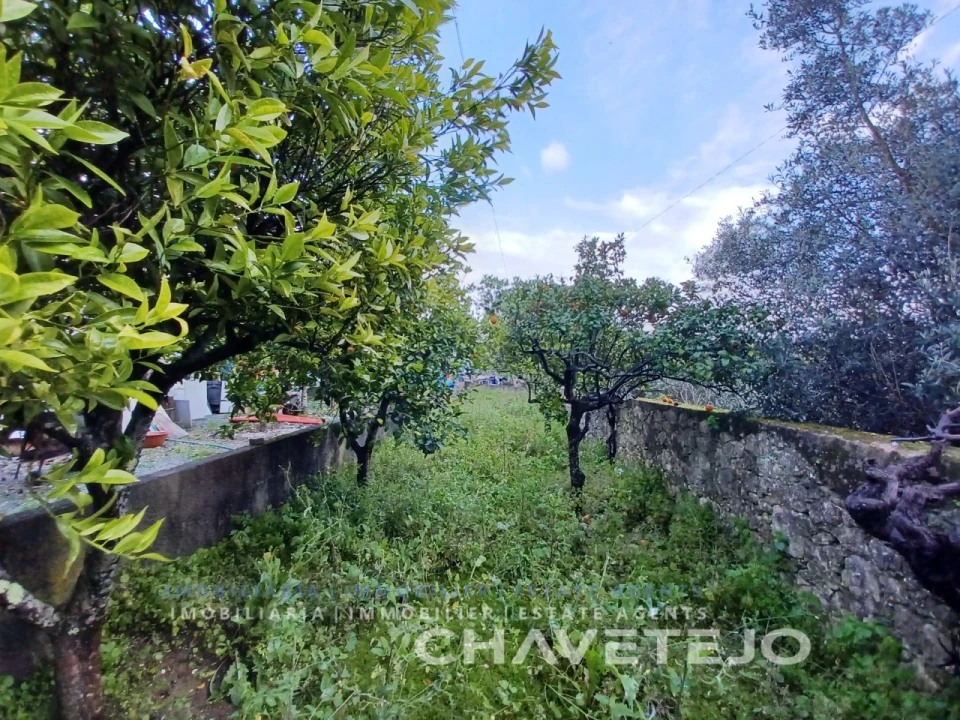 Moradia T3 para Venda em Assentiz Foto 27