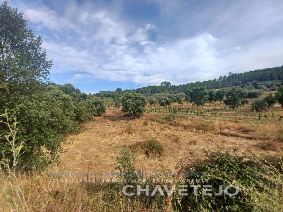 Quinta para Venda em Serra e Junceira Foto 3