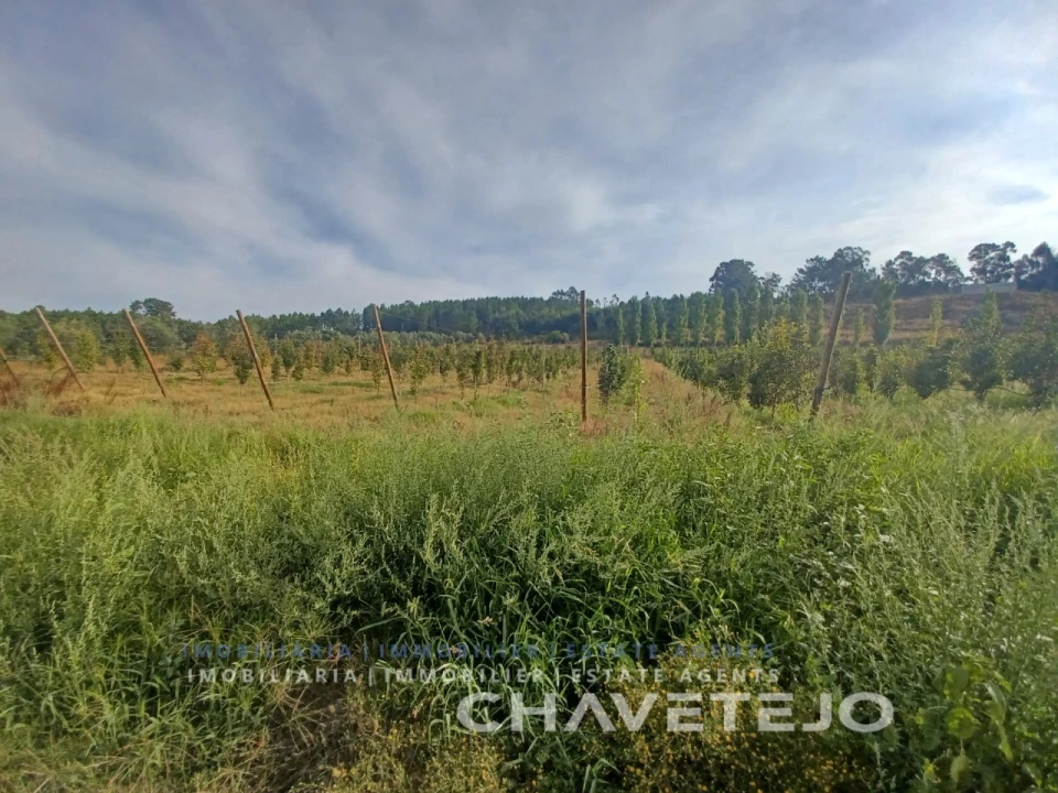Quinta para Venda em Serra e Junceira Foto 1