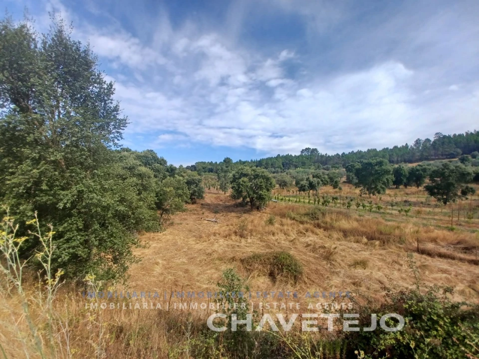 Quinta para Venda em Serra e Junceira Foto 20