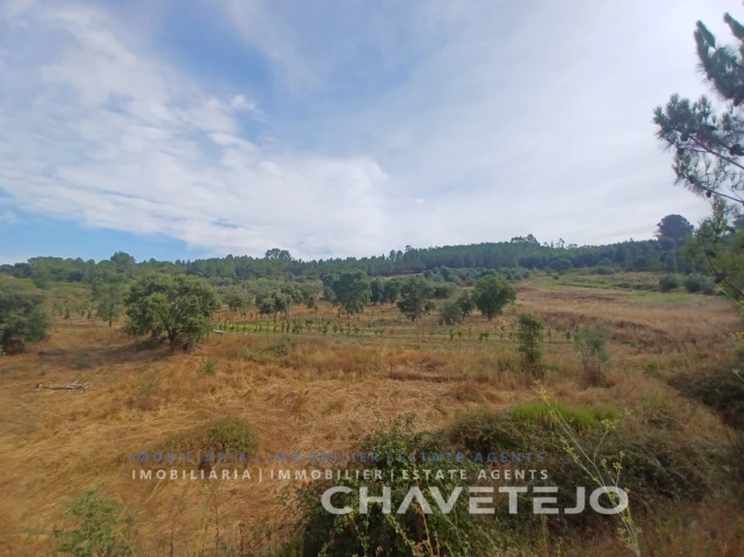 Quinta para Venda em Serra e Junceira Foto 17