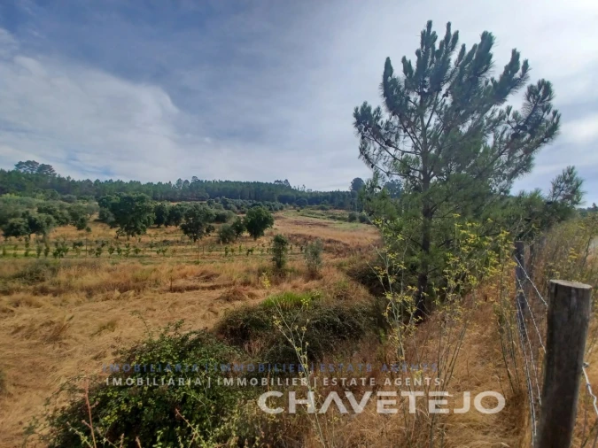 Quinta para Venda em Serra e Junceira Foto 18