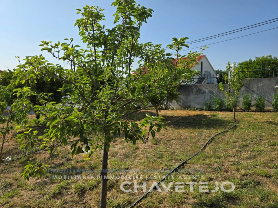Moradia T3 para Venda em São Pedro de Tomar Foto 99