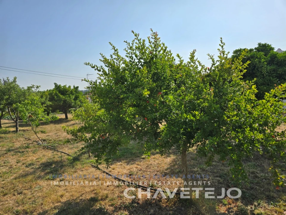 Moradia T3 para Venda em São Pedro de Tomar Foto 101